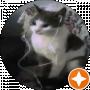 LorIK