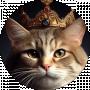 Сергей Котин