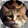 Сергей Котин