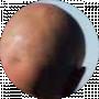 mercx mercx