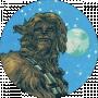 Radio Wookie