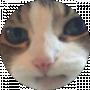 Choopii