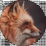 BJ Fox