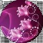 lesya sh