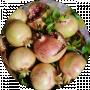 Лаура