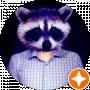 Владислав Бесарабчик (Raccoon)
