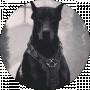 Doberman DOS