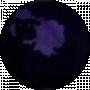 Dima twitop