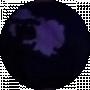 Dima twitop
