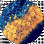 Ks