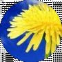 Tetiana Arhi
