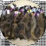negozio di capelli naturali alexicomua