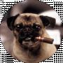 Mr Mops