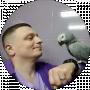 Дмитрий Фурсов
