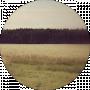 Vova