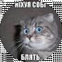 Микола