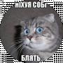 Микола