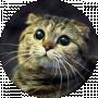 Cihan
