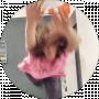 Борис Волкогон
