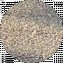 Егор Страшко