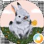 Олег О