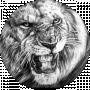 Andrii Pakhoda