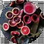 Евгений Трохимчук