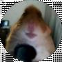 Den4iksun Roblox