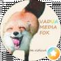 VADUA MEDIA FOX