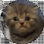 Flora Tiusevska