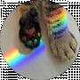 Rainbow dash