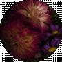 Софія Софійка