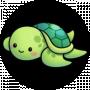 Tortue