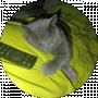 Aleks