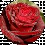 Iren I
