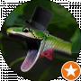 Green Snake
