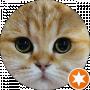 Havrosha YT