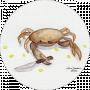 Crab Rave