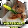 Алиса Мелафон