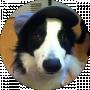 woopy _
