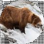 Леонид Клещёв