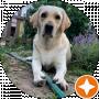 Василий Лаган