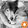 Димон Вульфович