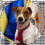 Дианазавр