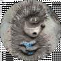 Семен Коваленко