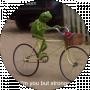 Frog On the bike