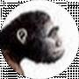 Levon S
