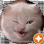 VIT Chaos
