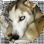 Ирина Журавлева