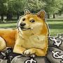 Mr. Crypto Billionaire